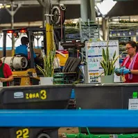 Miami farm workers’ last hope for heat protection regs appears dead under Trump