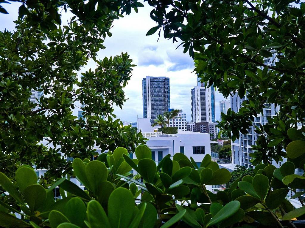 9 Great Ways To Celebrate Earth Day And Get Involved In Miami