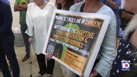 Miami commissioner joins residents in blasting ‘outrageous’ proposed tree ordinance
