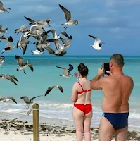 Miami man wins $30M verdict against Expedia over confiscated property in Cuba