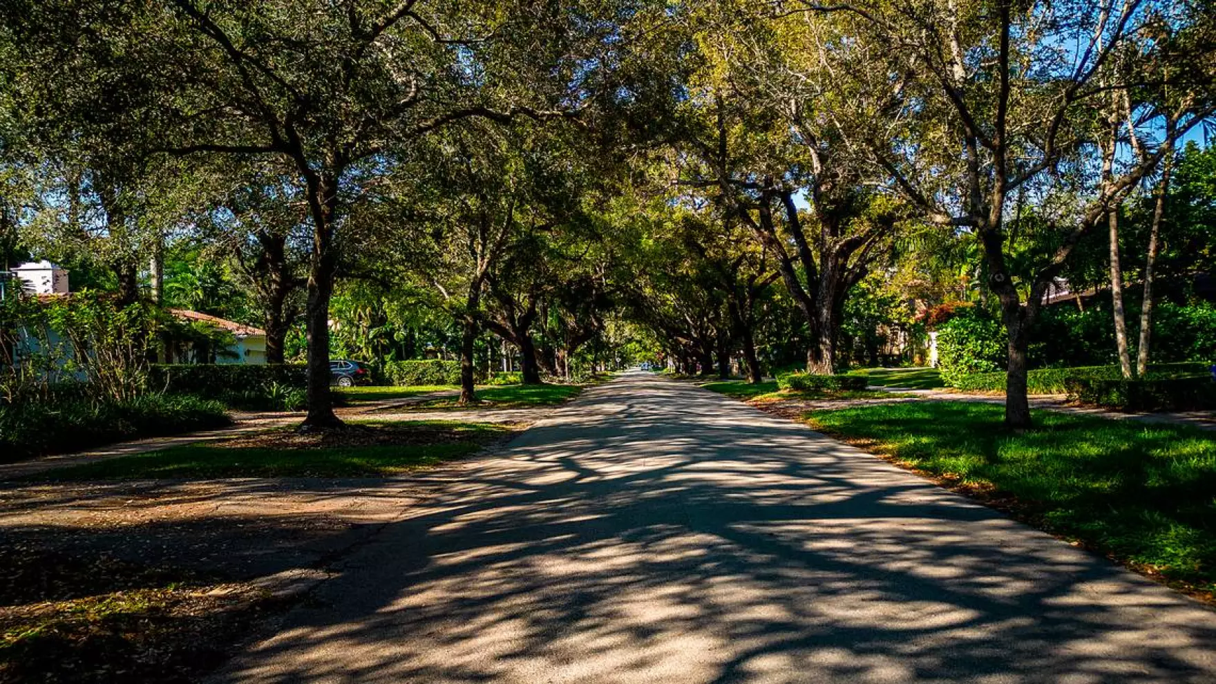 City of Miami drops controversial tree ordinance law, honors late Manolo Reyes with a park