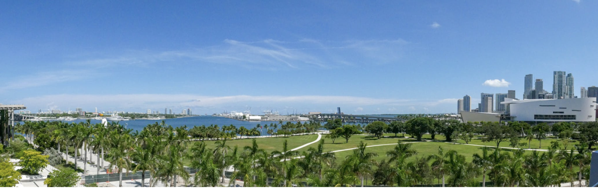 Miami Commissioner "completely" withdraws controversial tree ordinance
