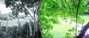 Dreams are made of green in new airport art exhibition