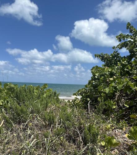 Key Biscayne’s forecast to start May