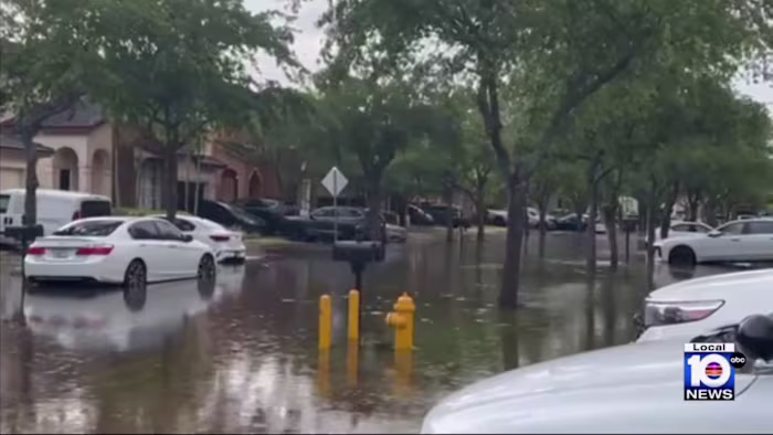 Massive tree comes down during windy rainstorm in South Miami