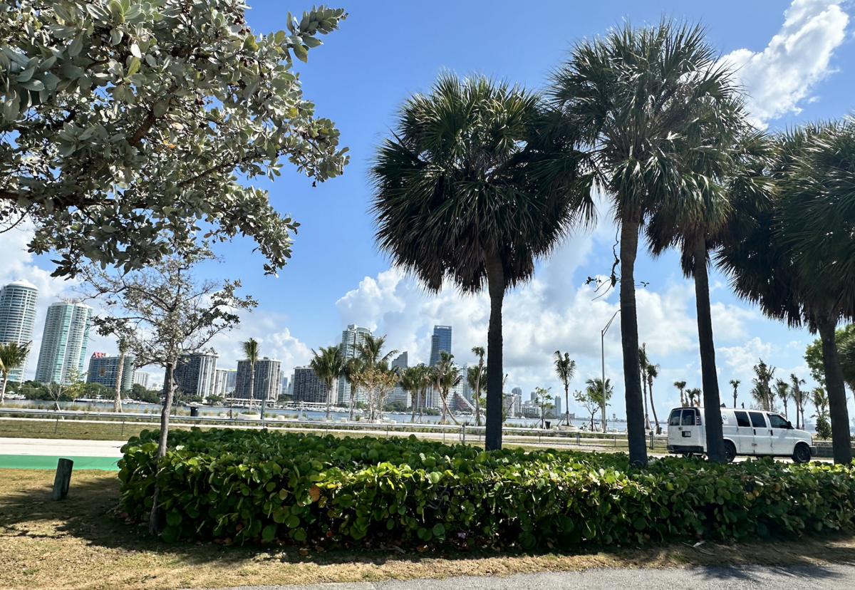 Drier Tuesday ahead on Key Biscayne