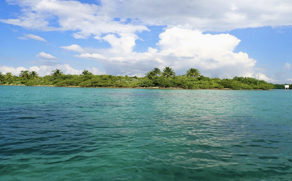 Invitation to talk Biscayne Bay Aquatic Preserve