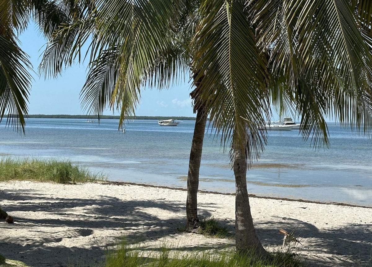 Warm and sunny Friday on Key Biscayne
