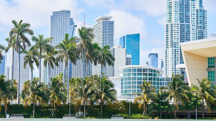 Travelers are ditching Miami this year, per Google data—here's where they're going instead