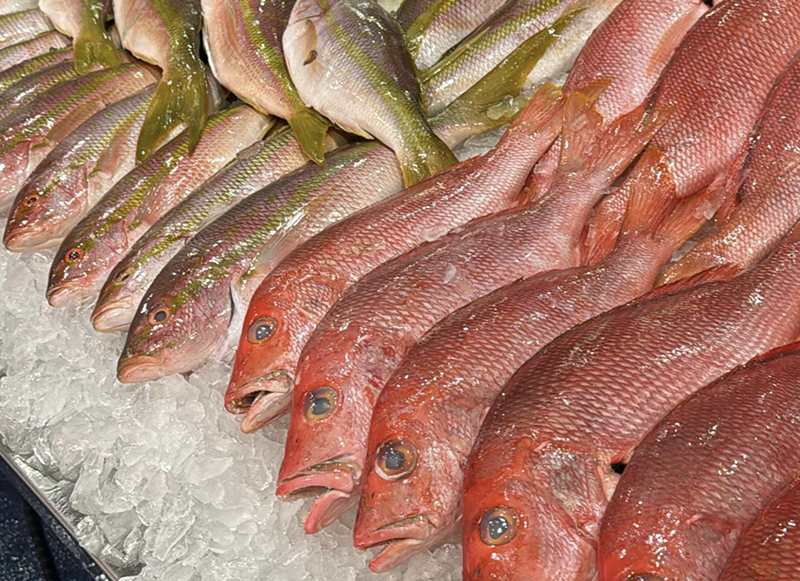10 Best Seafood Markets in Miami, Florida