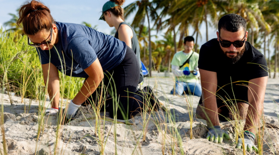 Rosentiel heads up county coastal resilience effort