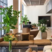 How hotels in Miami are changing. See what’s new and what’s coming
